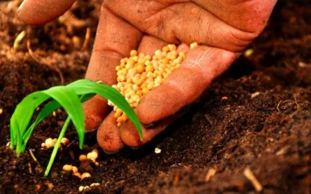 Interventi finanziari a sostegno delle imprese agricole attraverso modifiche al d.lgs. 102/2004