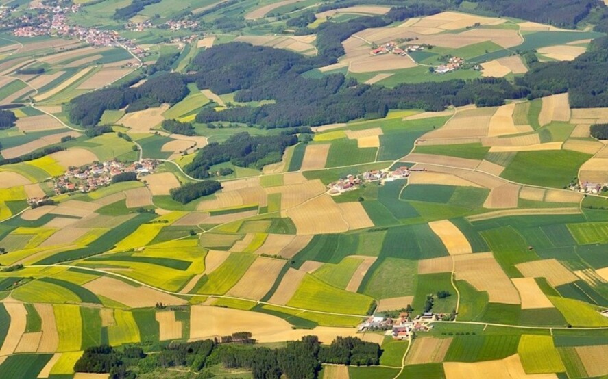 Banca nazionale delle terre agricole, in vendita migliaia di ettari di terreno da coltivare