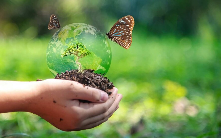Legge 194/2015 Tutela e la valorizzazione della biodiversità di interesse agricolo