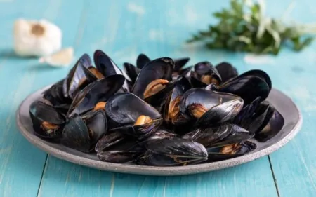 I ristoratori che detengano partite di molluschi vivi debbono essere in possesso di certificazione sanitaria.