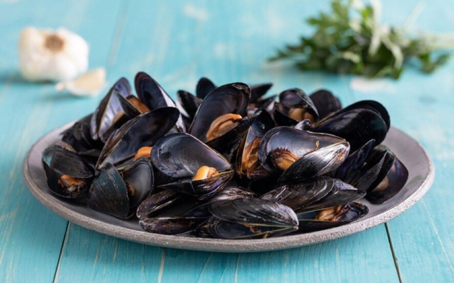 I ristoratori che detengano partite di molluschi vivi debbono essere in possesso di certificazione sanitaria.
