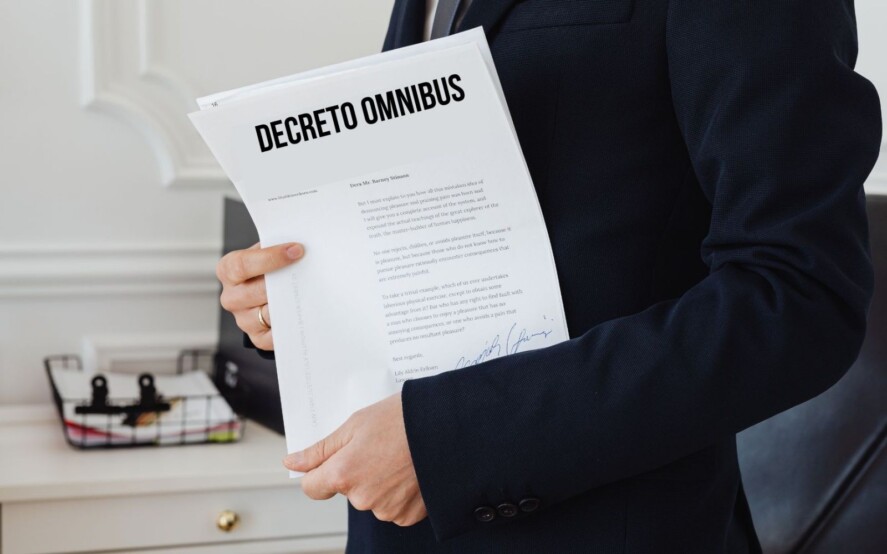 D.L. 113/2024 Decreto Omnibus 2024