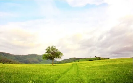 5 giugno: giornata mondiale dell’ambiente