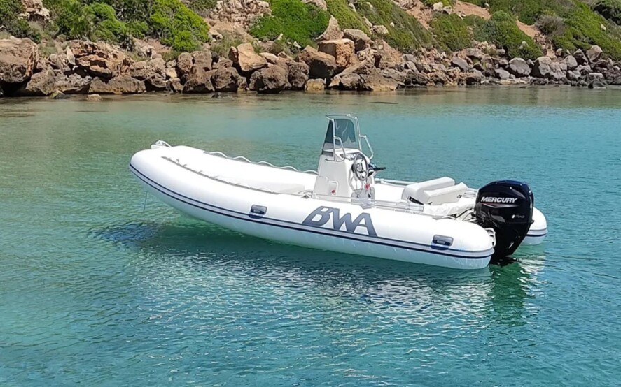 Patentino nautico D1 per natanti fino a 115CV e 10 metri dal compimento dei 16 anni
