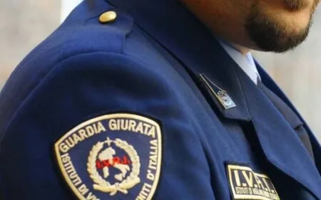 Il diniego di rinnovo della licenza per guardia giurata non necessita di un diffuso apparato giustificativo.