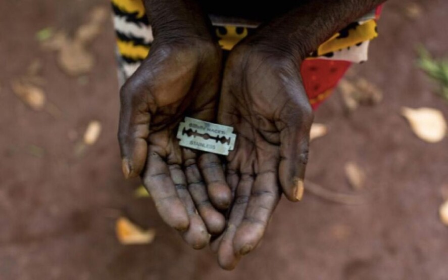 Legge 7 2006 Prevenzione e divieto delle pratiche di mutilazione genitale femminile.
