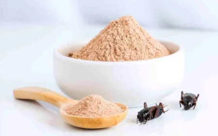 Regolamento UE 2283/2015 Nuovi alimenti Novel food
