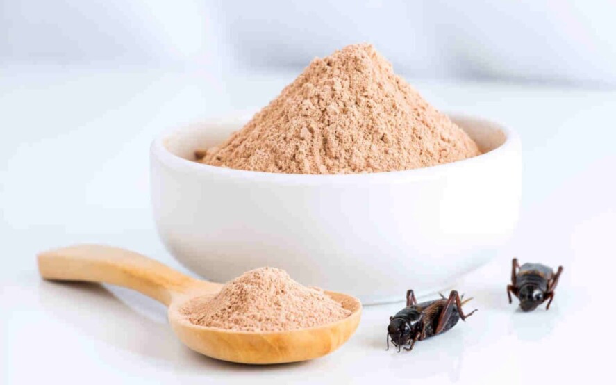 Regolamento UE 2283/2015 Nuovi alimenti Novel food
