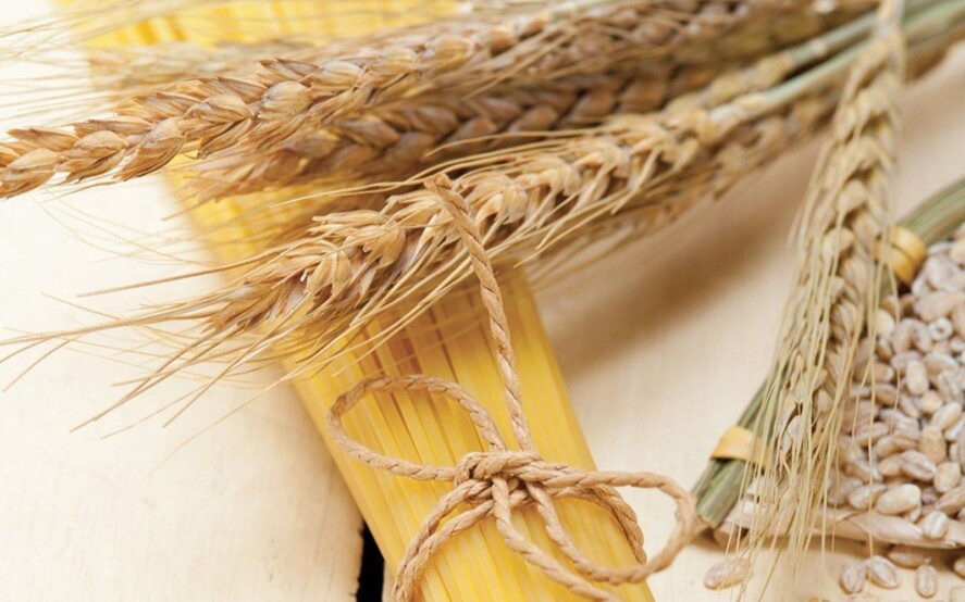 Etichetta di provenienza del grano per la pasta, del riso e del pomodoro