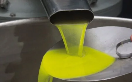 Legge 898 1986 Controlli degli aiuti comunitari alla produzione dell’olio di oliva