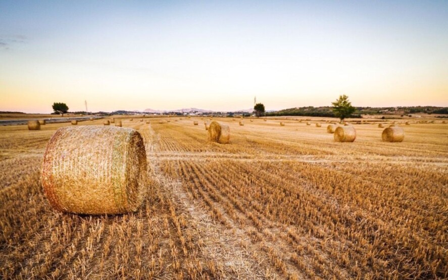 Legge 154 2016 Deleghe al Governo settori agricolo e agroalimentare